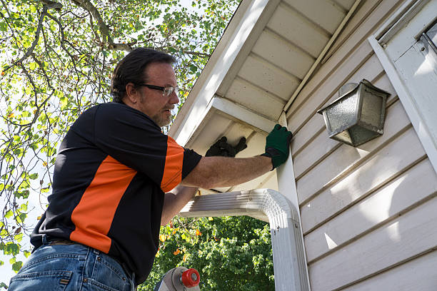 Best Storm Damage Siding Repair  in Fruitridge Pocket, CA